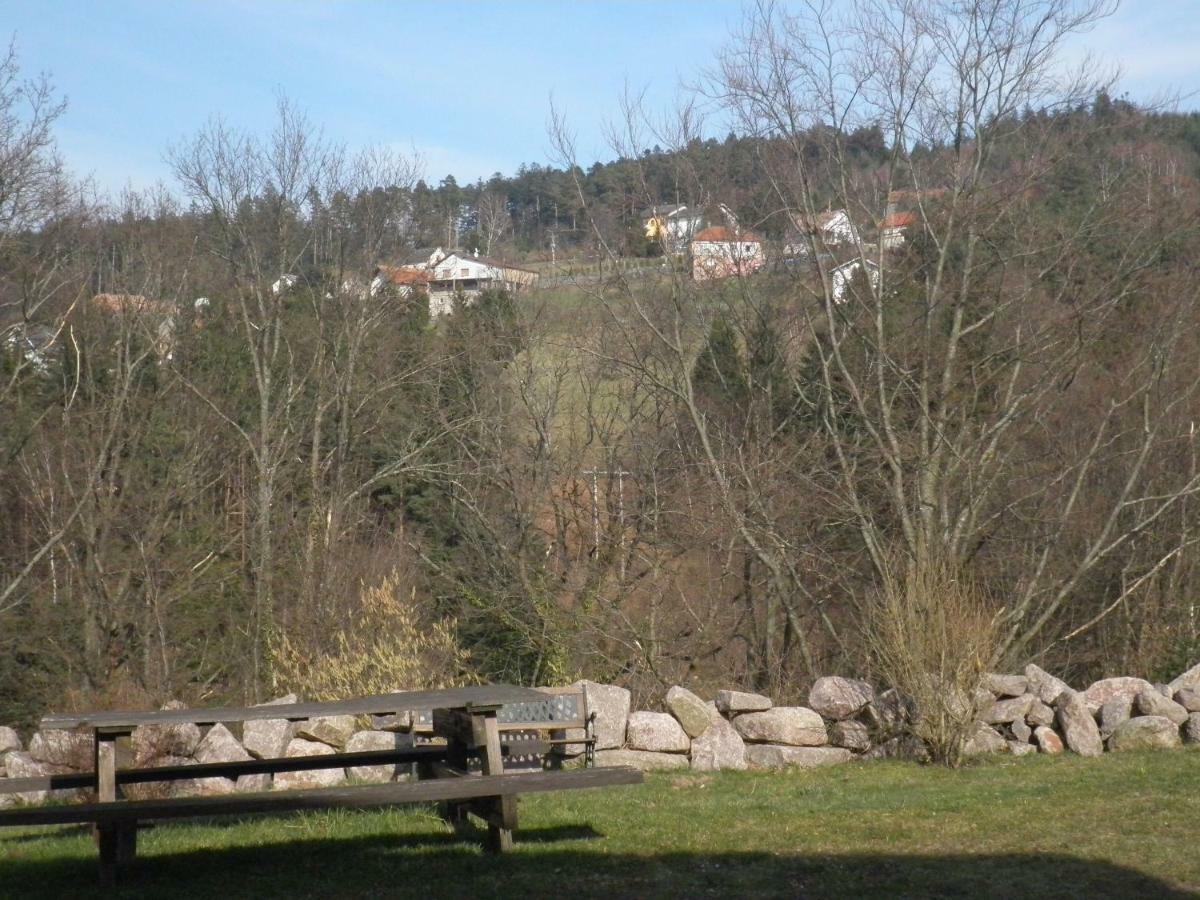 Gite Les Melezes Dabo Buitenkant foto