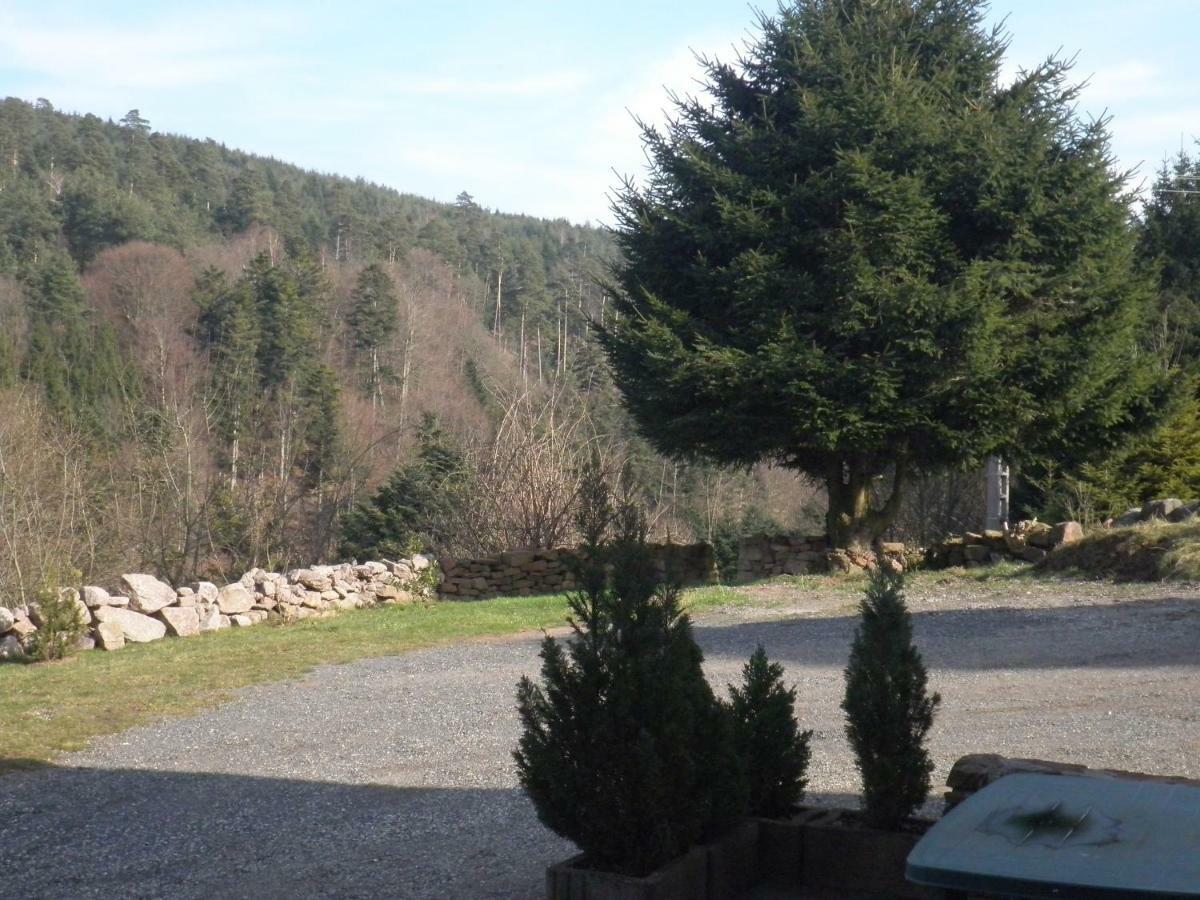 Gite Les Melezes Dabo Buitenkant foto